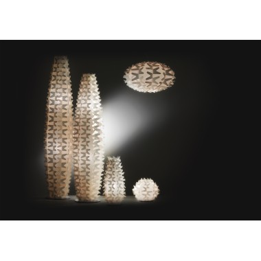 Collection Cactus Slamp