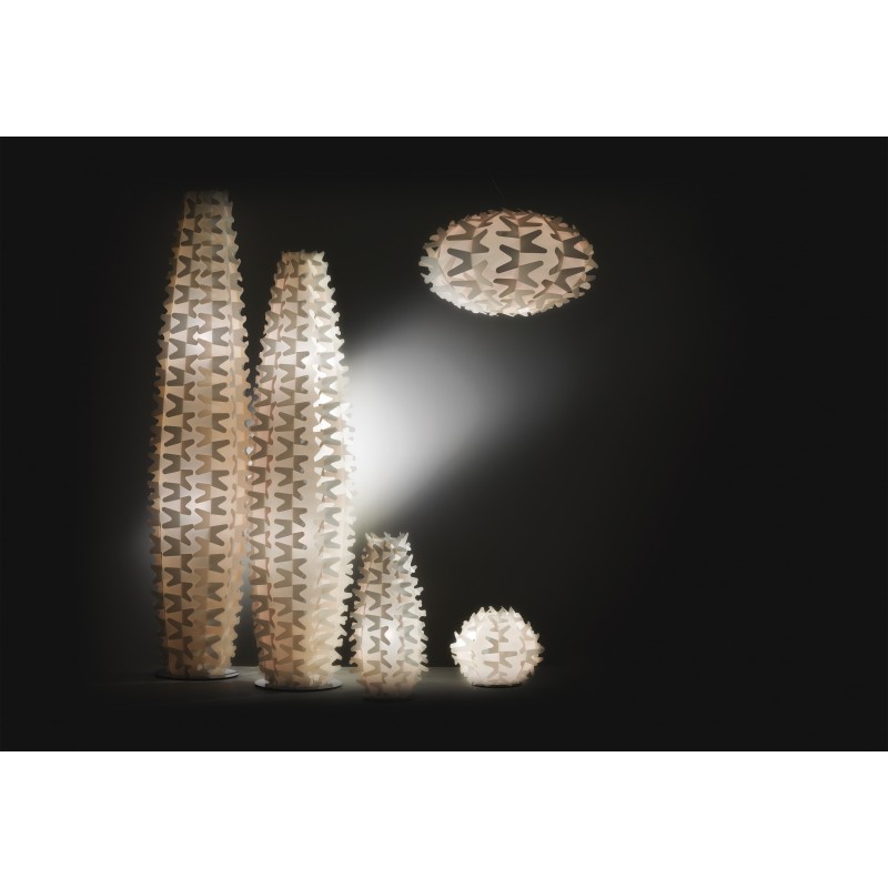 Collection Cactus Slamp